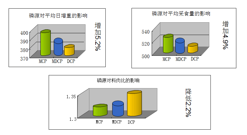 德甲在线直播