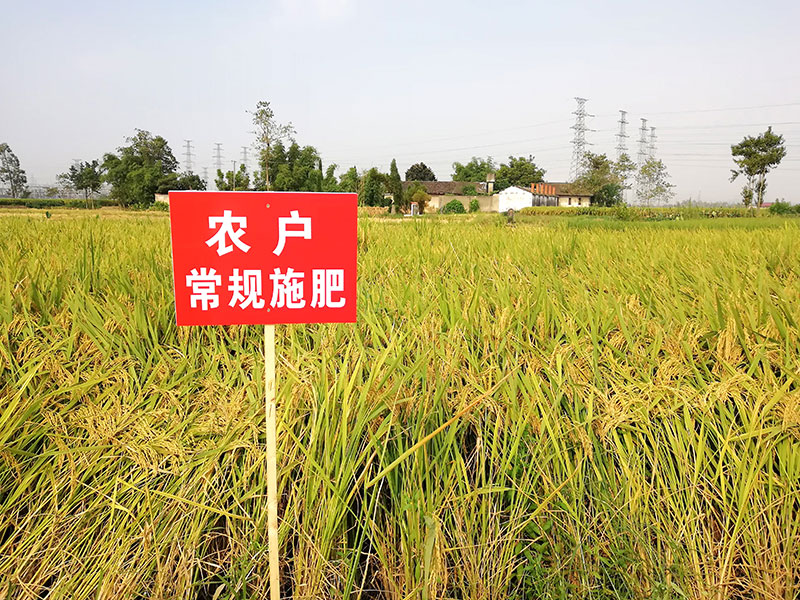 德甲在线直播