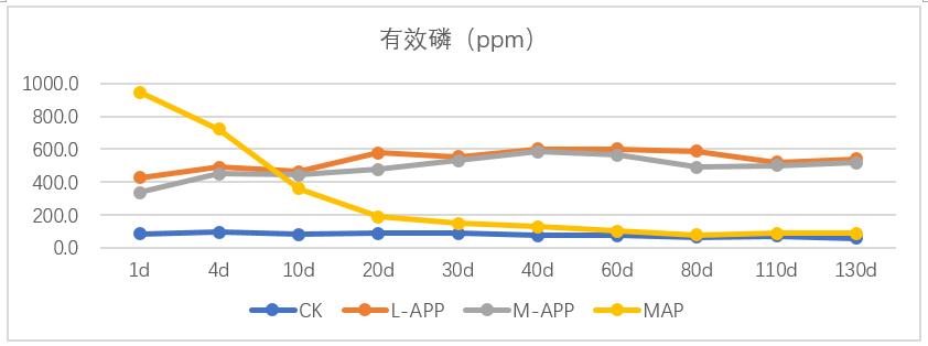 德甲在线直播